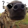 FoxUwUfurryBR🇧🇷's profile picture