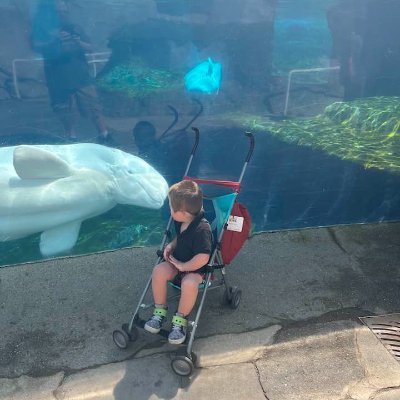 James Tate's profile picture