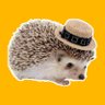 Profilbild von Kayser