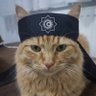 Profilbild von TsingisKaani