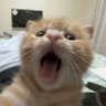 axel 的头像