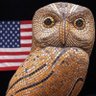 Amy 🇺🇸's profile picture