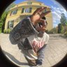 domnic hasen profil fotoğrafı