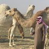 ابـو تـركي profil fotoğrafı