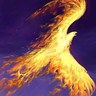 Linda Grady's profile picture