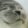 Profilbild von tono