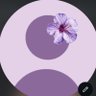 Profilbild von أمَثال.
