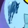 Profilbild von Bfdifan2763 12/9