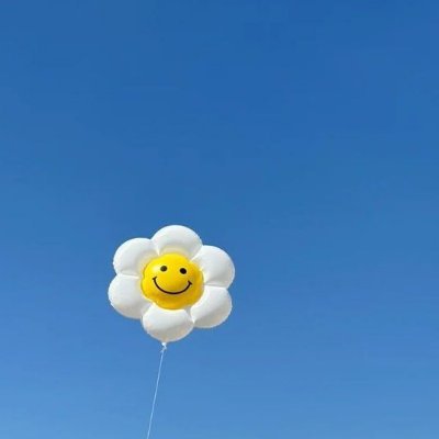 sasa's profile picture