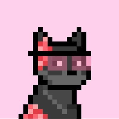 JJ🦠's profile picture
