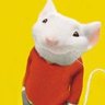 Tabri HOG's profile picture