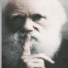 lamboking profil fotoğrafı