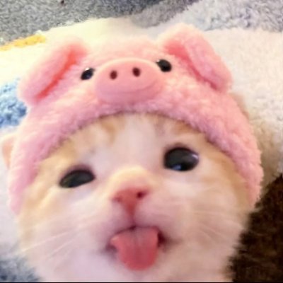 y a n a's profile picture