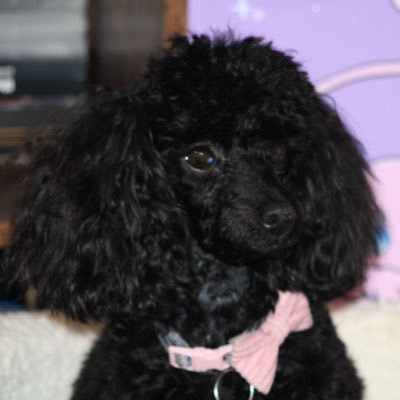 Greenpartygirly's profile picture