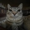 .'s profile picture