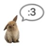 dustBunny profil fotoğrafı