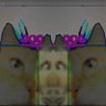 Profilbild von the