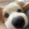 山春's profile picture