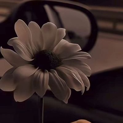 Rackets08's profile picture