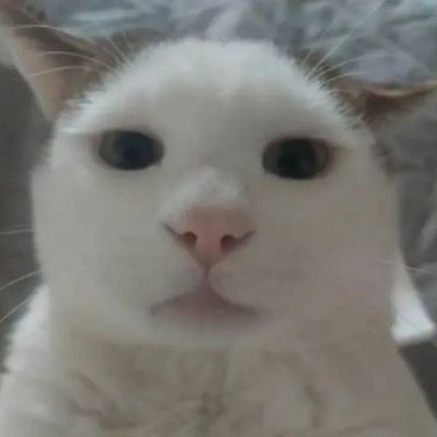 Dody03180922's profile picture