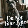 Фото профиля I'm not your type