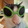 Profilbild von Maxine