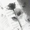 Фото профиля Pluvipile