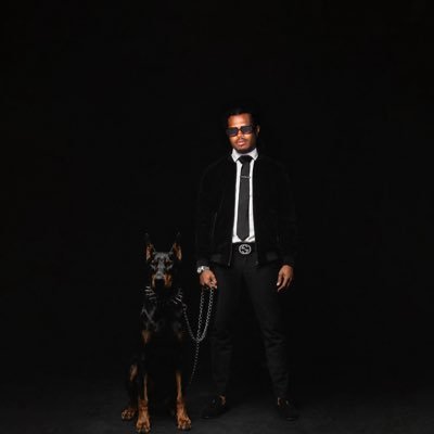 vApolloh's profile picture