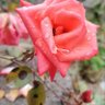 Фото профиля Omar Omar
