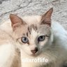 fan ✨ profil fotoğrafı