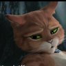 Profilbild von 😼