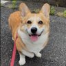 Profilbild von だいすけ