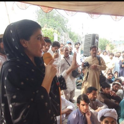 wazir_gulalai's profile picture