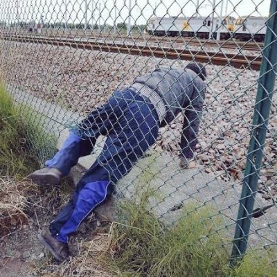 kukuteni's profile picture