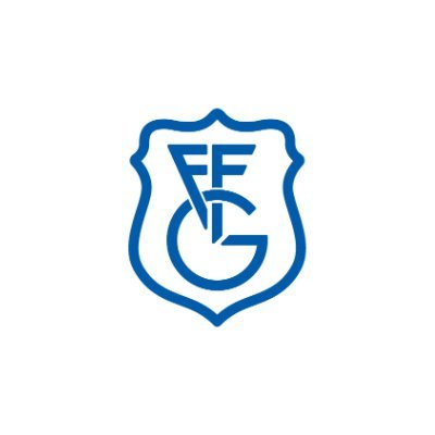 Gipuzkoako Futbol Federazioa's profile picture