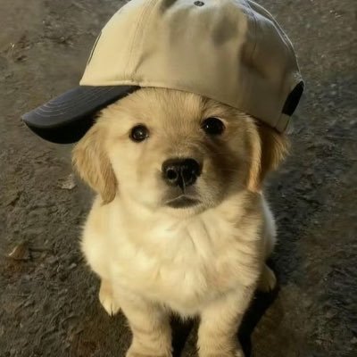 𝐦𝐲 𝐬𝐮𝐧𝐬𝐡𝐢𝐧𝐞 ☀︎︎'s profile picture