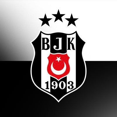 Beşiktaş JK's profile picture