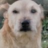 Profilbild von James Butler
