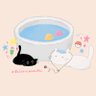 🌱 แม๊ะแอ่ะ 🦋 profil fotoğrafı