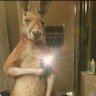 Dexter's profile picture