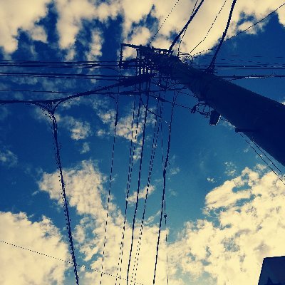 taiyo_contrail's profile picture