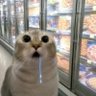 Lil ꕤ 。˚⋆ 的头像