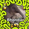 vibhas profil fotoğrafı