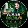 Punjab digital Pk's profile picture