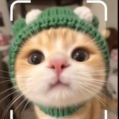 tOnkhOw1's profile picture