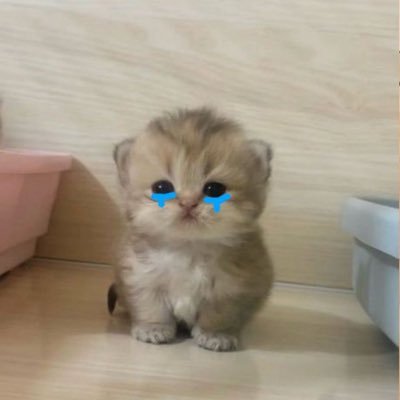 bongxinh13628's profile picture
