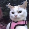 Tia's profile picture