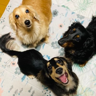 Namiwanyukiwan's profile picture