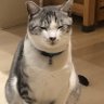 Profilbild von 🐾まんぞくさん🐾