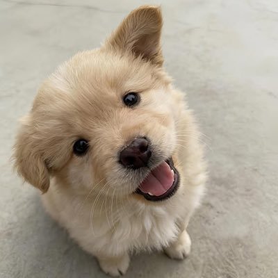 BiiHyunee_'s profile picture